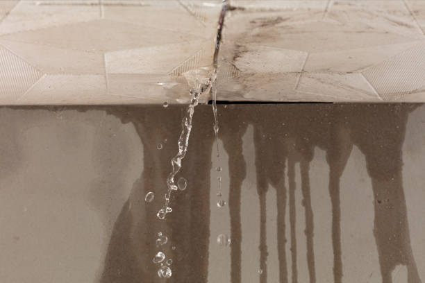 Professional Burst Pipe Cleanup technician working in Lakeside Marblehead, OH